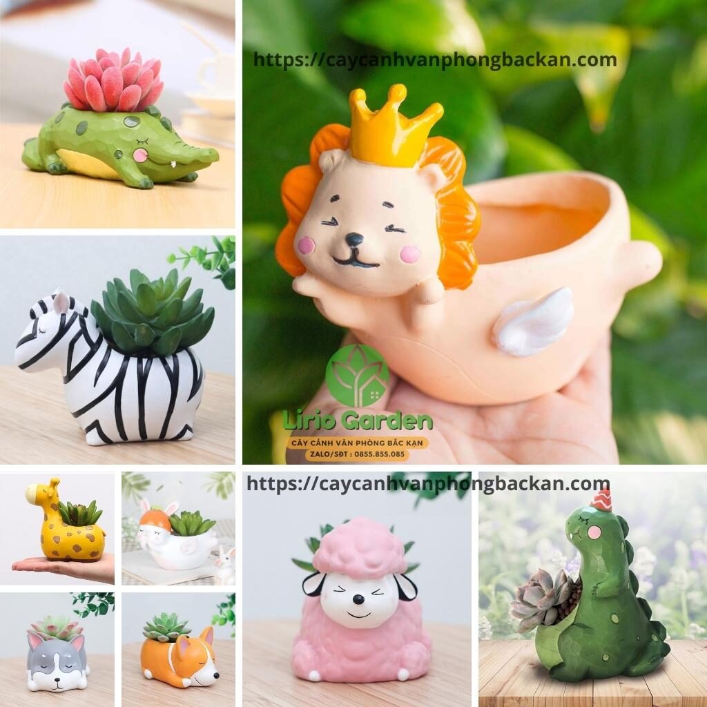 Chậu Cây Hoạt Hình