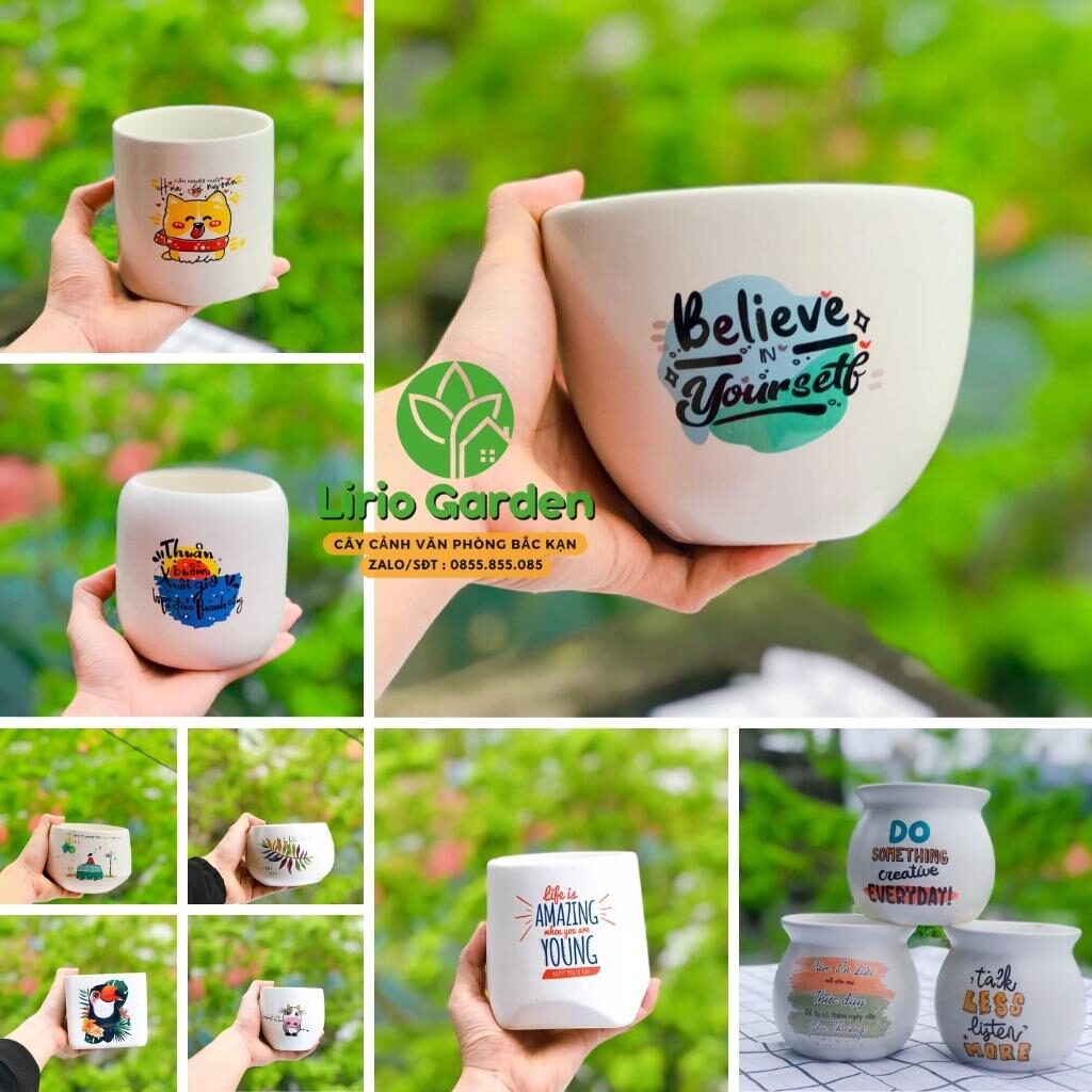 Chậu Gốm Sứ Bát Tràng